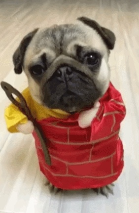 安装