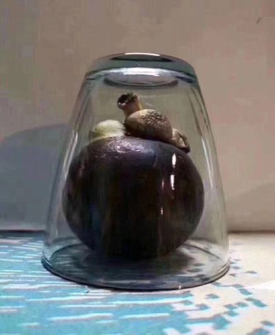 陪练