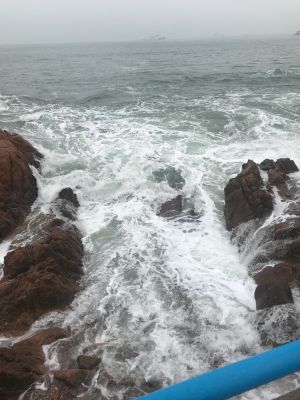家居