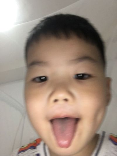紫砂