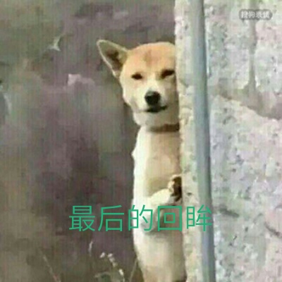 承接家具安装、拆卸、安装服务！服务质量好！有需要可以致电13926648806