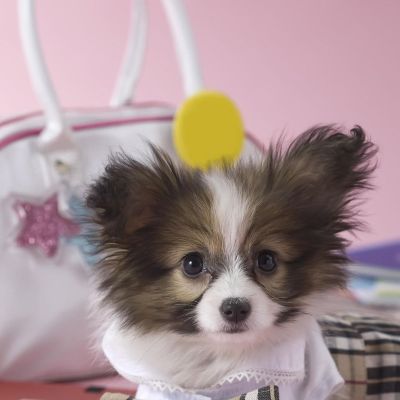 万能工