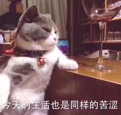 客户