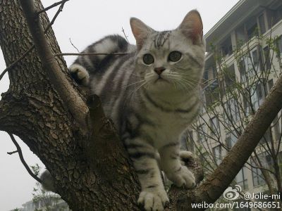 没有