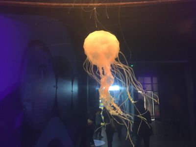 管理