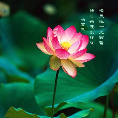 钢结构支木等建筑装修
