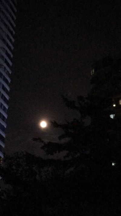行政