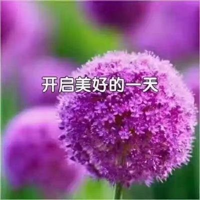 保洁新居开荒