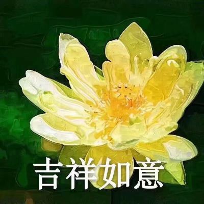 不会