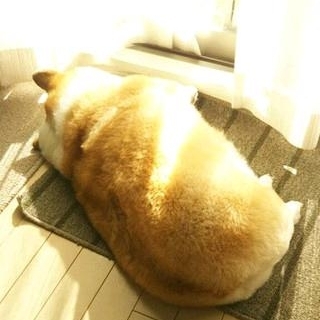 家政公司天津家政服务