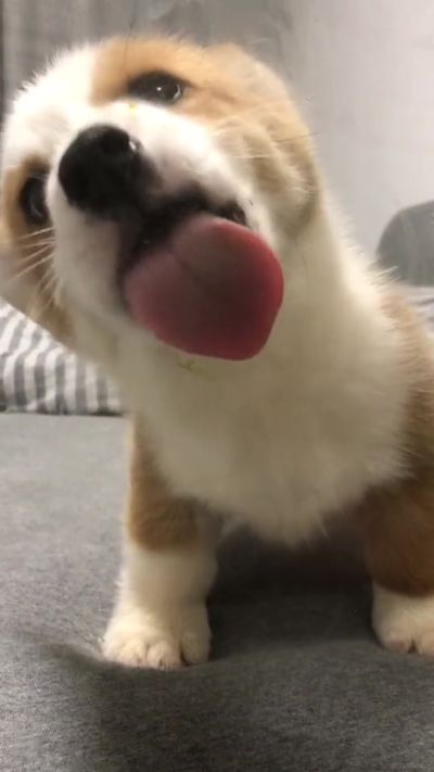 物流