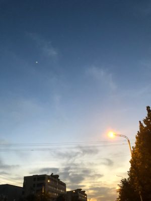 理解