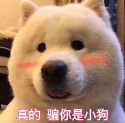 瓦工
