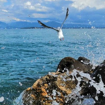 找活干专业乳胶漆刮腻子，需要的联系17638099691贾