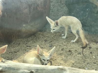 灯具卫浴都会灯具卫浴灯具卫浴热熔