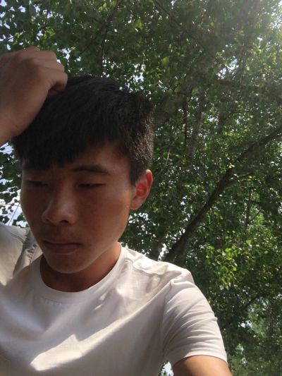 专业团队、承接大小工程家装、施红销售墙纸墙布、有需要请联系我