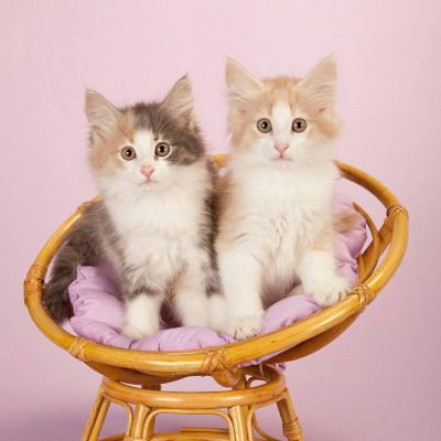 安装广告牌广告安装制作安装发光字