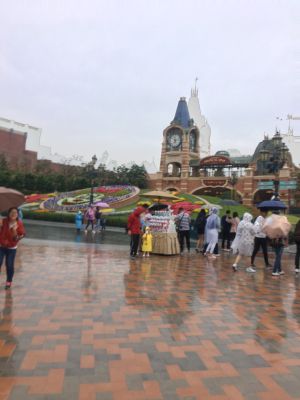 啥都不会