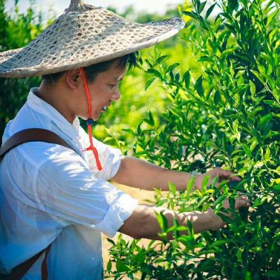 同心家居服务