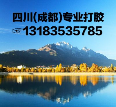 因为专注，所以专业。