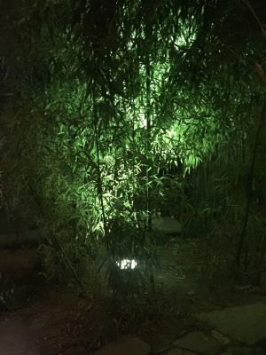 卫浴太阳能