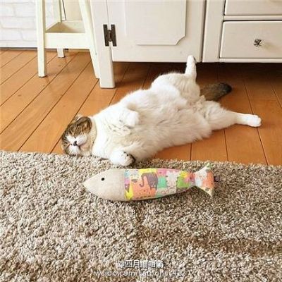 互联网