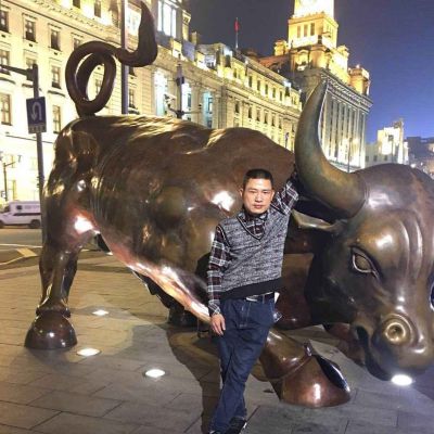 专业旅游销售
