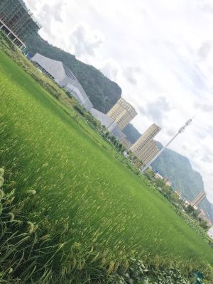 工程师