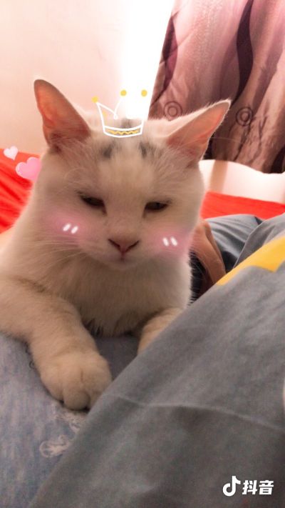 专业保洁团队家政服务