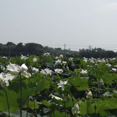 电工