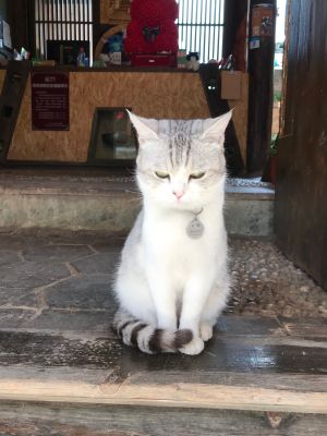 装修拆除清理垃圾打地板