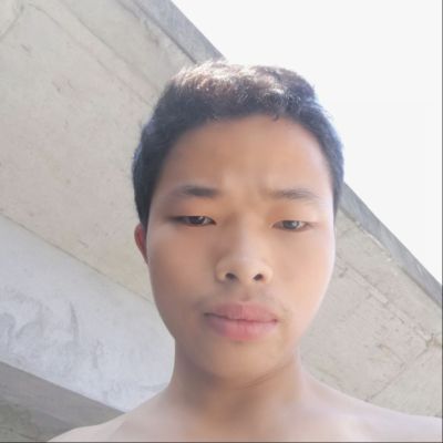 全层定制安装