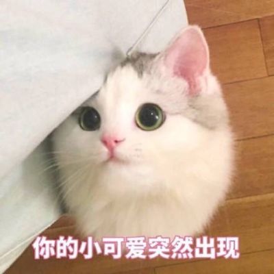 安装