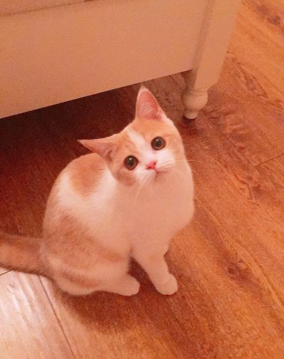 装修