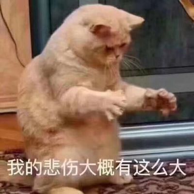 电脑维修