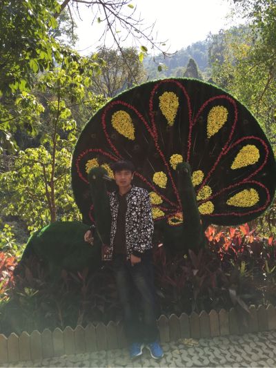 服务业网络兼职