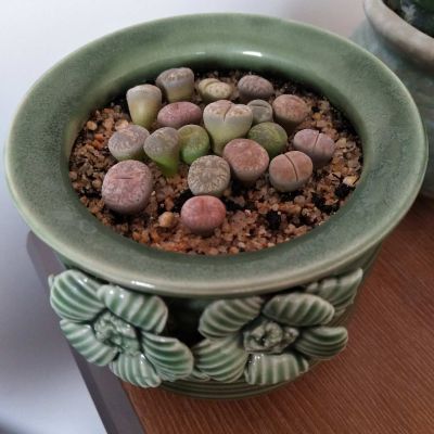 家电维修