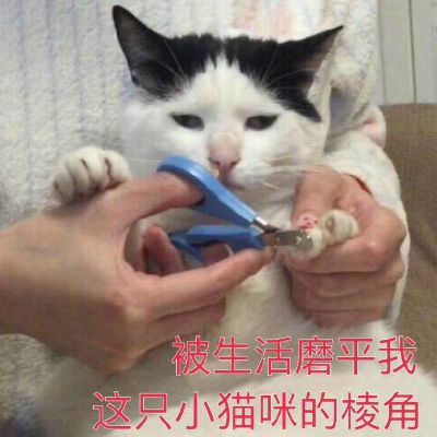 装修搬运