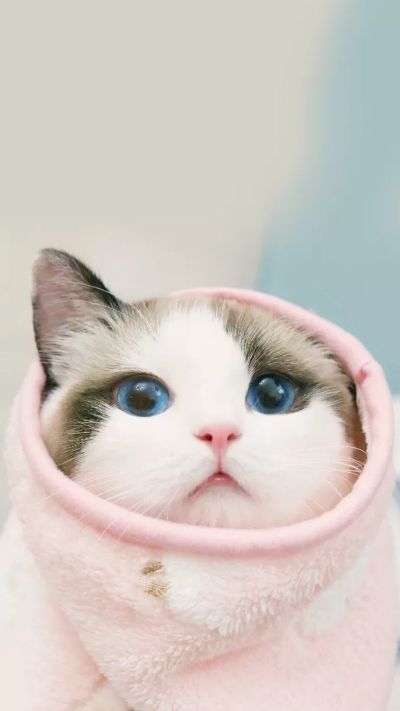 职员