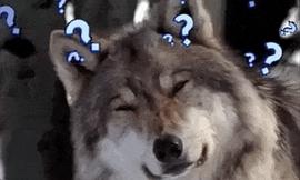 修理墙