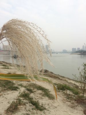 电工灯具洁具维修