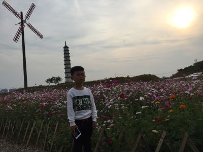 东东