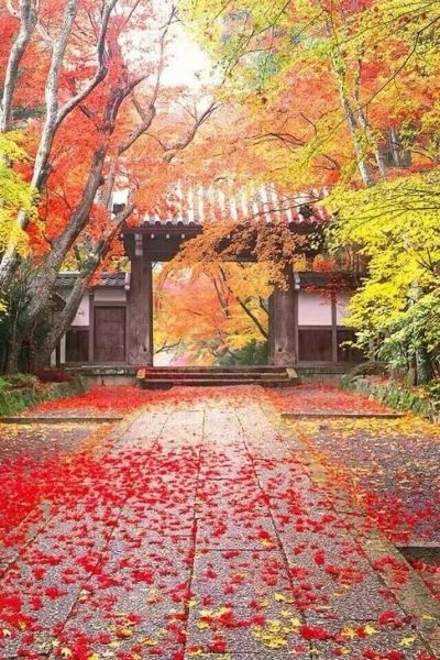 空调家电制冷