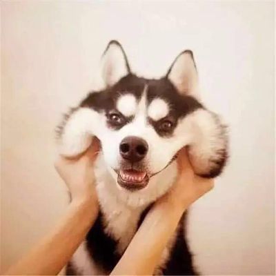 设计