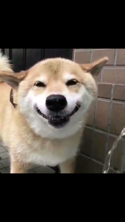 家具安装维修晾衣架安装