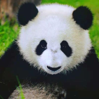 文物修复