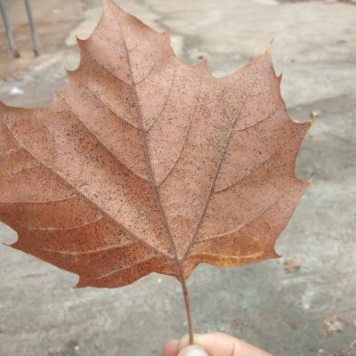 专业装修家装工装装修混凝土