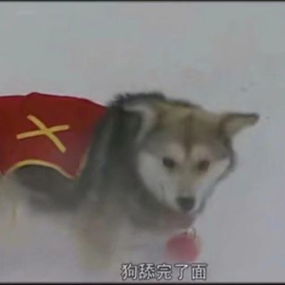 济南附近或济南家装装修的找我19906444281