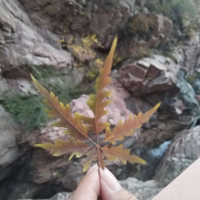 家具安装美容卫浴安装维修墙纸壁纸