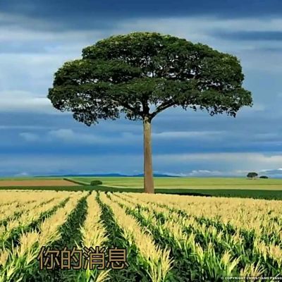 木门安装